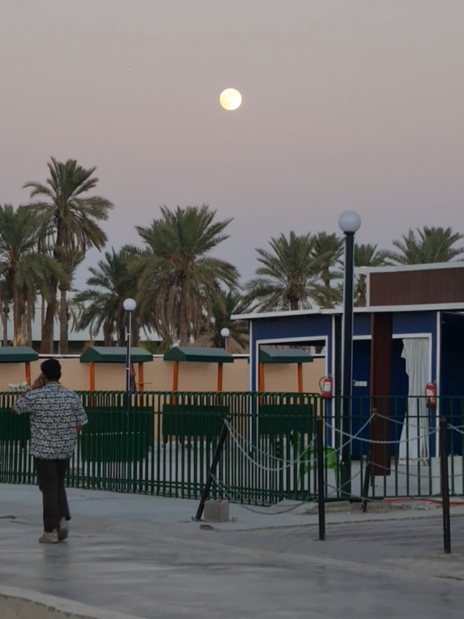 #عسيب #ASMR #السعودية #العريبة #saudiarabia🇸🇦 arabia 