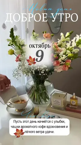 #9октября #четверг #новинки #доброеутро #новыйдень.