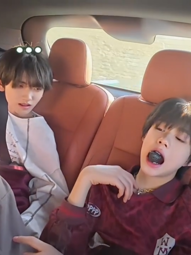 yiheng dengan tingkahnya dan qihan dengan muka memeablenya😌 perpaduan yang sempurna🤏 #zuoqihan #chenyiheng #tffamily_4th_generation 