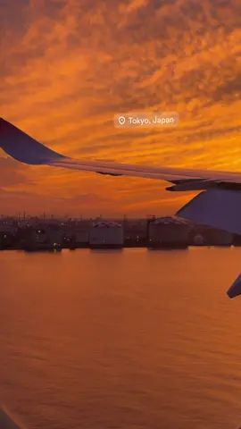 Hello Tokyo, Japan 🇯🇵. #traveltok #tokyo 