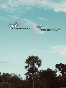 Kon rah Dile Valo hoibo...?🤌🏼🐸#emam_008 #foryou #viral #bdofficial 