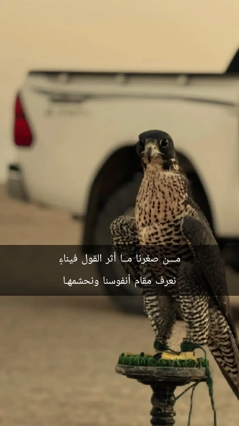#مـــن صغرنا مــا أثر القول فينا۽ نعرف مقام أنفوسنا #ونحشمهـا
