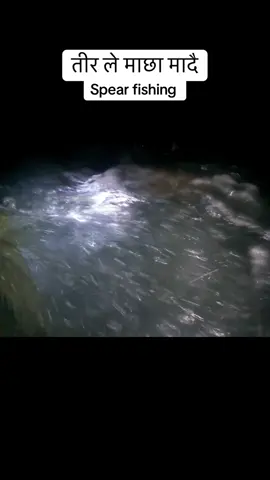 #myviralvideo #creatorsearchinsights #spearfishing #fullvideoonyoutube #trending 