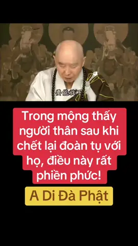 A Di Đà Phật #adidaphat🙏🙏🙏🌹🌹🌹🌷🌷🌷🌺🌺🌻🌻 #phatphapnhiemmau #hoathuongtinhkhongkhaithi🙏🙏🙏 #ansutinhkhong #detuquy 