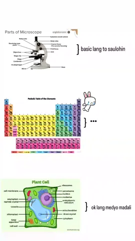 periodic table so hard to memorize #fyppppppppppppppppppppppp #periodictable #songs #foryou #jeffreybezos 