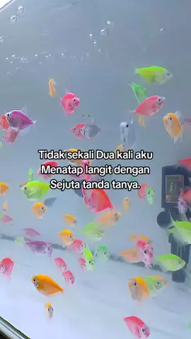 ☺️☺️☺️ #fyppppppppppppppppppppppp 