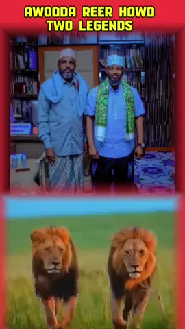 Qoodhu MabalanTo ismana waydo two legends ##s #somlitiktok #video #somalitiktok #video 