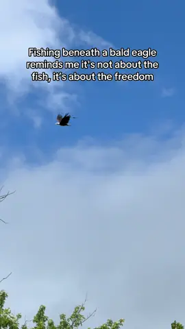 came for the fish, stayed for the moments nature gives me #bassfishing #fishing #angler 