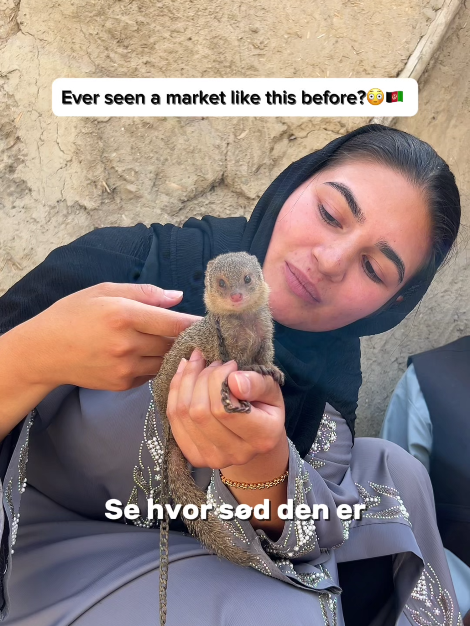 Would you visit the bird market in Afghanistan!?🦜🇦🇫 - - - - - - #travel #backpacking #afghanistan #kabul #solofemaletraveler #femalesolotraveler #backpacker #dansktiktok #svenskatiktok #traveltiktok #travelblog