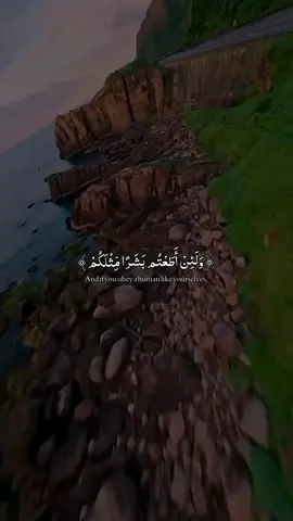 A peaceful reaction of the Holy Quran #@Quran//قرآن @Quran--قرآن @🆀🆄🆁🅰🅽 