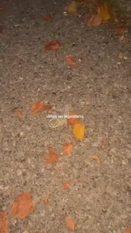 #fyppppppppppppppppppppppp 