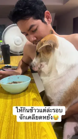 กินข้าวที จักเป็นอะไร หาให้แพงๆกะไม่กิน ถูกๆกะไม่กิน หน่ายลูกจังแม่นเลี้ยงยากกินแต่ขนม😂😂 ดูทำหน้างอน🙄