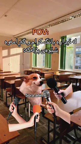 مردم جا شەڕیشت کردبێ👌🏻🙂#sora #fyp #الشعب_الصيني_ماله_حل😂😂 