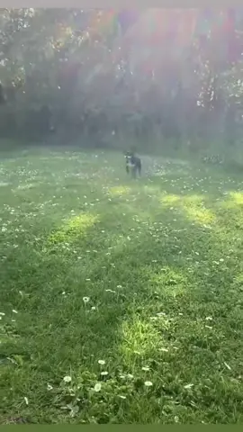 Hôm nay bạn buồn ư 🥹 Buồn xíu thôi nha !!!!! Miễn là đừng quên bạn xứng đáng với hạnh phúc 🥰🥰🥰