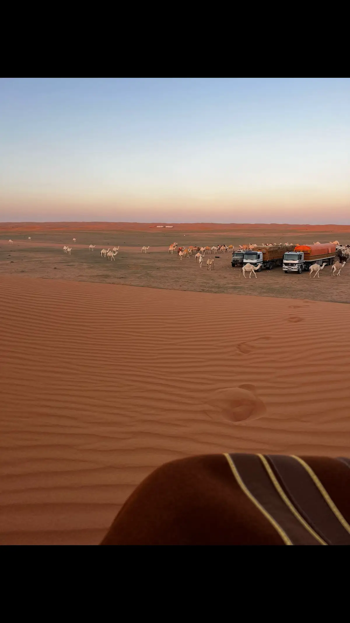 ‏لو حاويات النفط من شط الجبيل الى الحفر  ‏طاحت على حظ بدويٍ ما يعرف يديرها  ‏ماختار عنها الا مغاتير ومجاهيم وصفر  ‏ذودٍ مفليةٍ على مقهورها وبعيرها