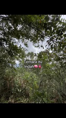 #motivasi #casis #casistnipolri #cagur #sekolah 