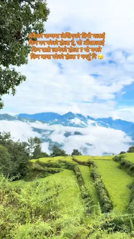 अर्कैको भाग्यमा लेखिएको तिमी मलाई किन मन परेको होला है, यो आँखालाई किन राम्रो लागेको होला ? यो मनले किन माया गरेको होला ? नगर्नु नि #shishirbhandari1 #nepalihearttouchinglines #sadnepaliquotes #shishirbhandarilines #nepalilines 
