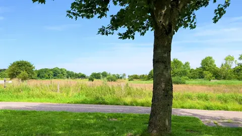 From summer to autumn #nostalgia #naturetok #nostalgiacore #childhoodmemories #dreamcore 