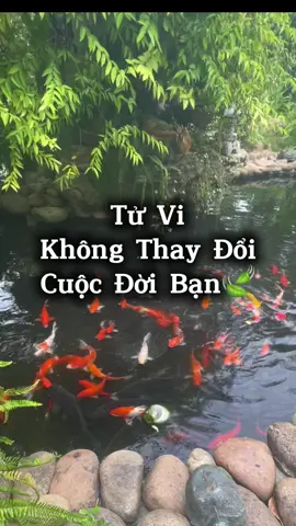 Tử Vi Không Làm Thay Đổi Cuộc Đời Cửa Bạn nếu... #tramthuctinh #tuvi #tuvi12congiap #tuvisomenh #tiktok 