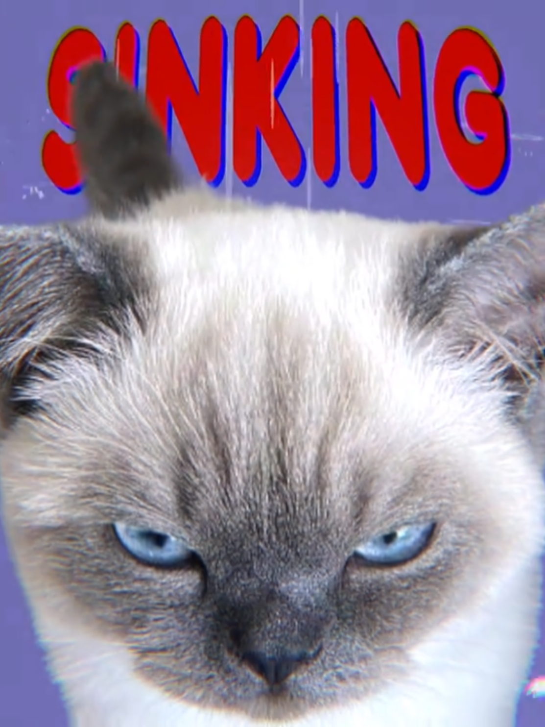 SAVE ME IF I BECOME MY DEMONS #starset #catanimation #catsedit #fyp #lyricsvideo 