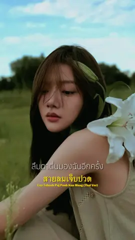 #CuaTshuabPajPoobKuaMuag #thaiversion #สายลมเจ็บปวด #เพลงเพราะโดนใจ #CapCut 