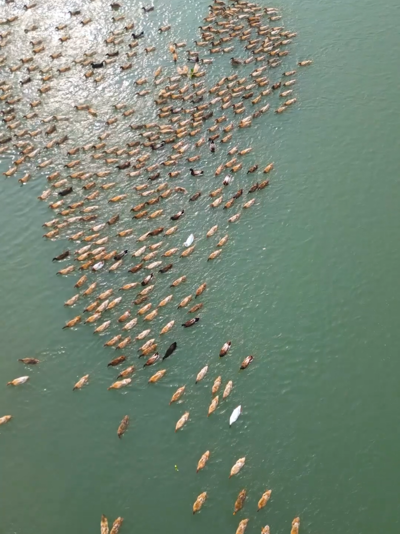ভিডিও ভালো লাগলে আইডি থেকে ঘুরে আসুন