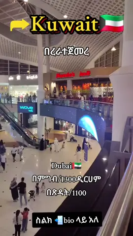 #ethiopian_tik_tok🇪🇹🇪🇹🇪🇹🇪🇹 #ethiopian_tik_tok🇪🇹🇪🇹🇪🇹🇪🇹 #fypp 