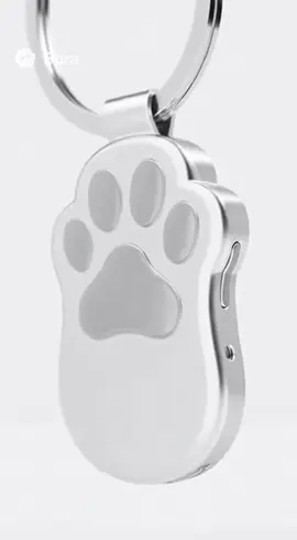 Catpaw #apple 