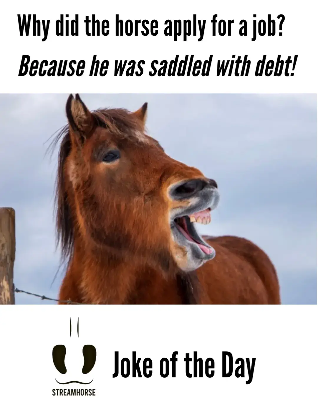 why did the horse apply for a job? 🤣🐴 #jokes #jokeoftheday #horses #debt #jobs 