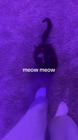promise shes fine and loved yall are being a little dramatic in my comments 😕 #cat #meow #fyp