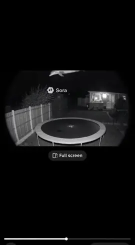 Dolphin boi #dolphin #ai #trampoline #sora2 #viral 