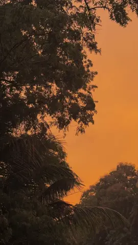 Golden sky 🥹 #foryou #tiktok #abhishen #backgroundvideo #kurunegala 