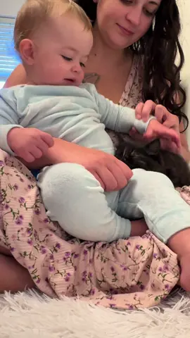 i’ve never seen a kitten love a baby so much😭😭😭😭🥹🥹🥹🥹🥹 #toddlers #kittens #cute 