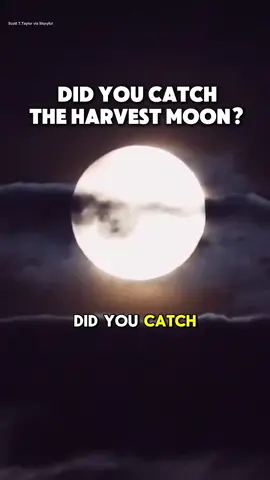 October’s harvest moon has officially made her debut this fall 🌕🍂🌝 #harvestmoon #moon #supermoon #nightsky 