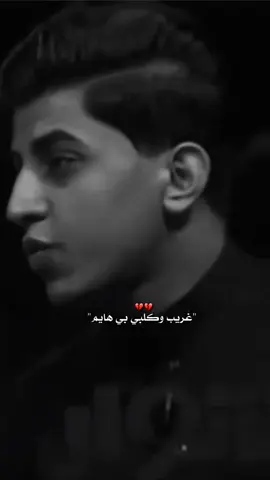 غريب وكلبي بي هايم#مسلم_الوائلي 