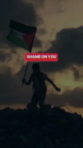 #CapCut #fyp #shameless #falasteen🇵🇸 