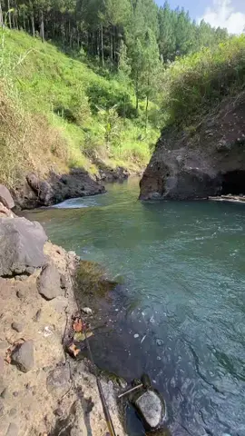 jos jis. #nutulnilem #mancing #mentahanvideo .