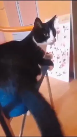 #cumasekedarhiburan😂🙏 #kontenhiburan✌️✌️🙏 