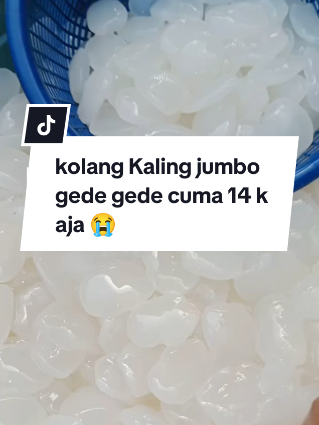 promo kolang Kaling jumbo gede gede siap kirim secepatnya #kolangkalingjumbo #kolangkaling #kolangkalinggede #promomakan1010 