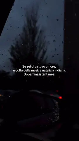 Il cervello ringrazia 😅 #indian #indiantiktok #indiansong #foryou #xmas 
