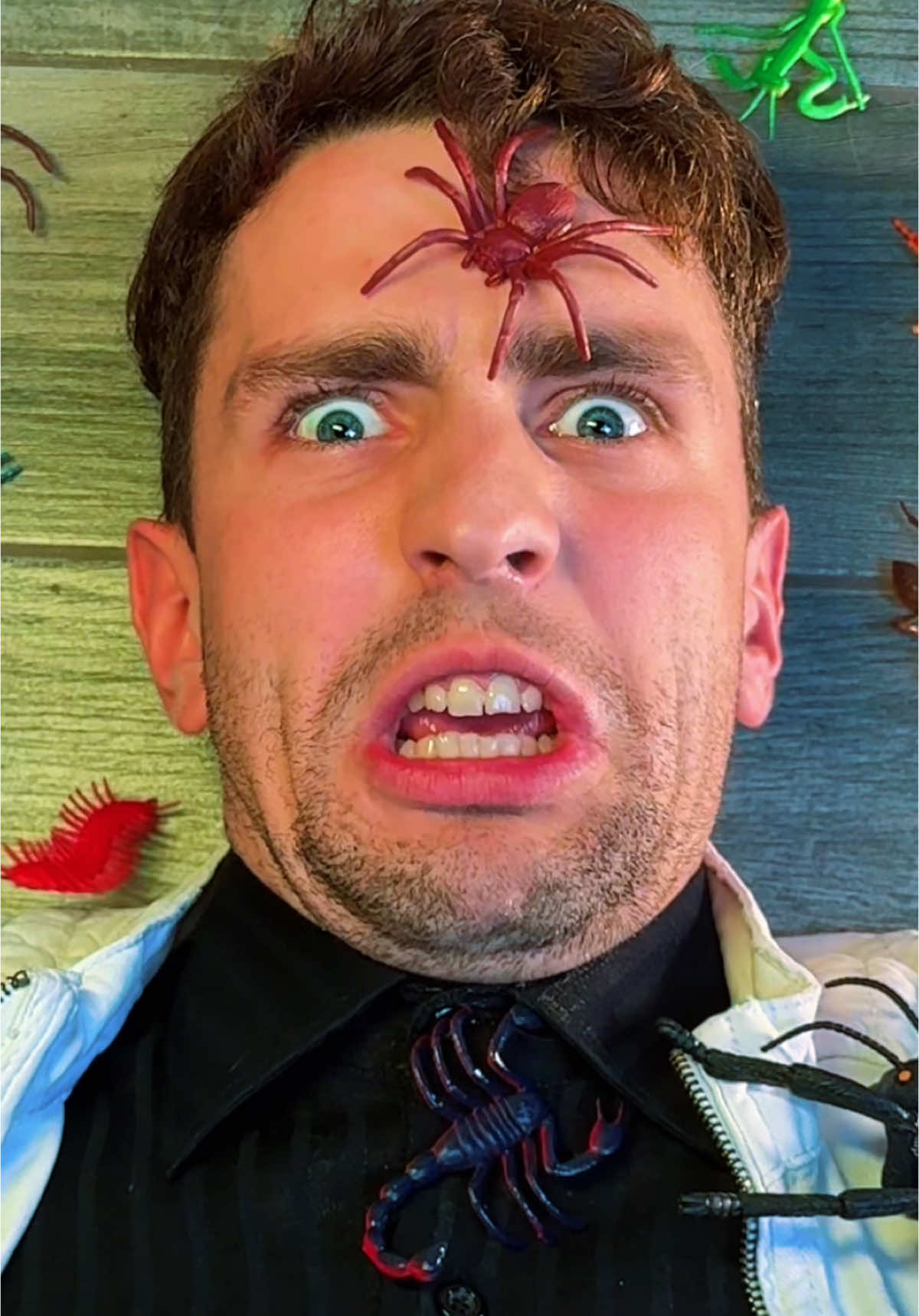 ТРУСЛИВАЯ ПЕСНЯ! Тг в шапке профиля #юмор #песня #лепс 