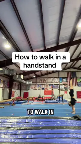 #onthisday #handstandchallenge #handstandtips #handstandtutorial 