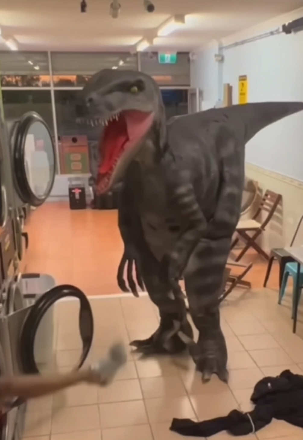 Folg rein oder leck eier #humor #spaß #comedy 