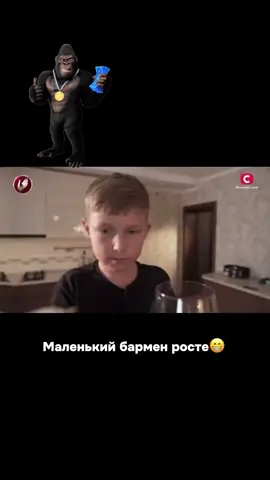 #fyp #сотканагорилу #стопосто #горила100 