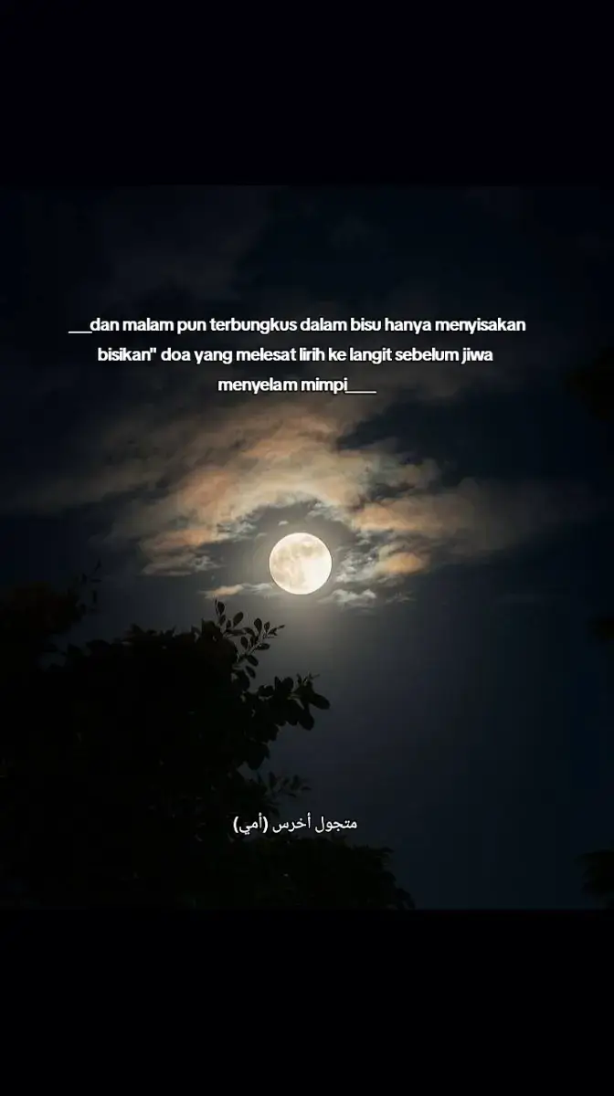 ___kenangan sepi yang tak berujung mengalun sunyi di samudra pilu___ terkadang sesuatu yang datang hanya sebagai ujian,,,bukan jawaban.. #fypp #hijrahummairah #fypp #haziqalif_ #puisikuisibaitpuisikualisi #fypp #fypp 