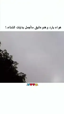 بداياات الشتااء 💗💗🥹🫶🏼.  #لايك_متابعه_اكسبلور  #رجعتلكم_بفيديو_جديد 