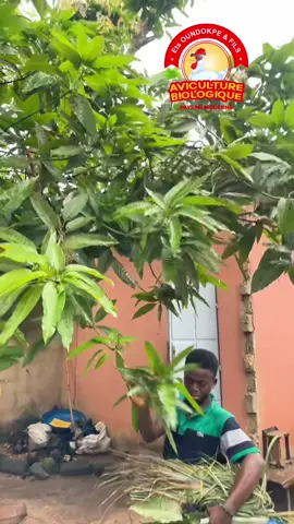 #togolais228🇹🇬 #burkinatiktok🇧🇫 #cotedivoire🇨🇮 #tchadienne🇹🇩 #malitiktok🇲🇱 