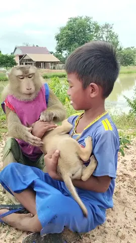#cuteanimals #zoolife #funnywildlife #animalvlog #monkey 