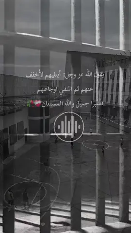 لن انسى ما عشناه في تلك السجون🖤🍂 #مسجون_في_الغربة #اناشيد_بدون_موسيقى #تصميمي #تصميم_فيديوهات🎶🎤🎬 #سجين 