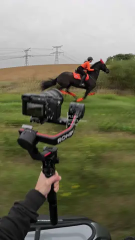 Welcome october 🧡 @Brice 🎥📸 #frison #horse #vitesse #dark #fyp 